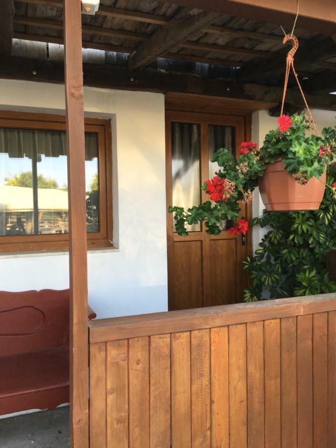 Balatonkenesei Nadfedeles Lovas Vendeghaz Villa Exterior photo